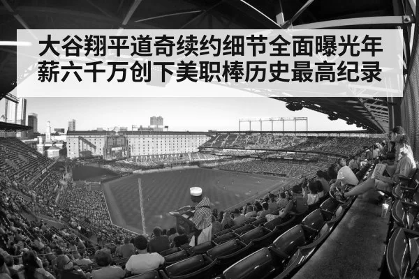 baseball stadium crowd